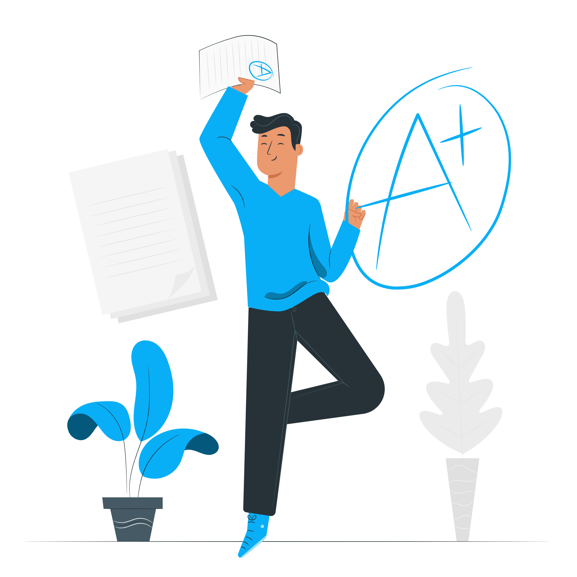 Essay Writing Help